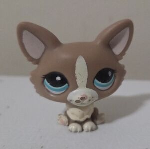 LPS Blythe Littlest Pet Shop #1864 Corgi Dog
